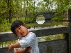 -溱湖国家湿地公园