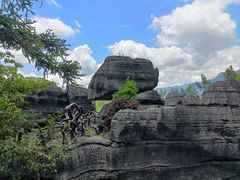 -梭布垭石林景区