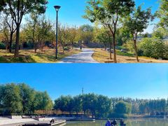 -马家湾湿地公园