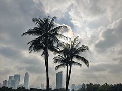 -万绿园