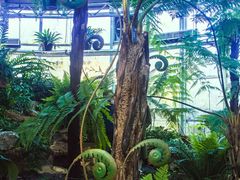 -国家植物园南园