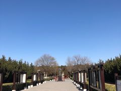 -许慎文化园