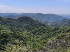 -大岭沟猕猴桃谷风景区