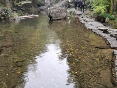-山沟沟景区