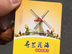 -荷兰花海