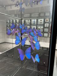 -酷嗒动物文化乐园(cutezoo西溪乐天城店)