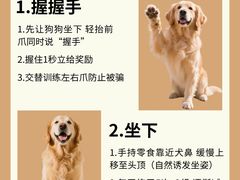 -翊宠yipet猫狗购宠庄园