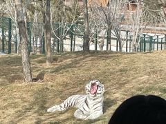 -太原动物园
