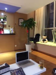 -悦妍韩式半永久纹眉纹绣