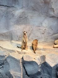 -Zoolung Zoolung动物主题公园(海信广场店)