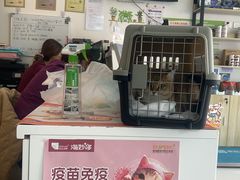 -美联众合24小时·皮肤科·外科·全科诊疗中心(华苑分院)