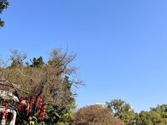-荔湾湖公园
