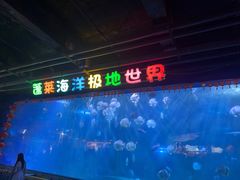 -蓬莱欧乐堡海洋极地世界