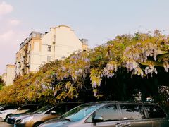 -双拥公园