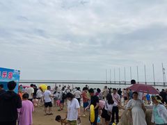 -碧海金沙