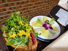 -墨脱石锅椰子鸡•香草鸭•东山羊(大东海店)