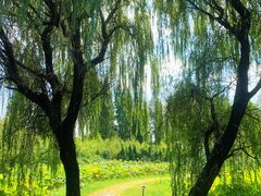 -百翠山居.家飨餐厅