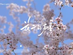 -新虹桥中心花园
