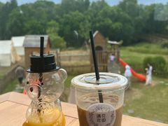 -同里国家湿地公园