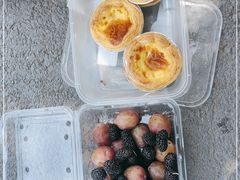 -日照海滨国家森林公园