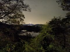 -上海市保健医疗中心