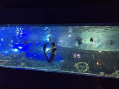 -重庆欢乐海底世界
