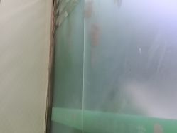 -苗医生0感祛痘连锁