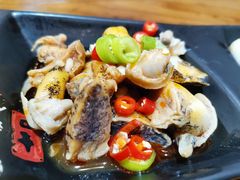 -东来菜馆•手抓海鲜家常菜•海鲜锅贴(鸽子窝店)