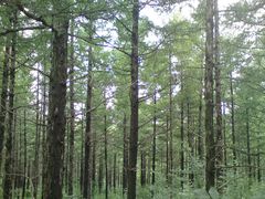 -白草畔自然风景区