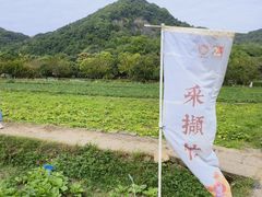 -八卦田遗址公园