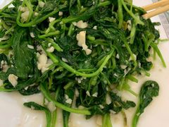 蒜蓉鸡毛菜-正阳春烤鸭店(杨楼店)