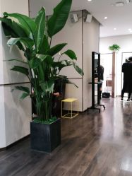 -崇尚GAVIN STYLE臻选