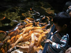 android_upload_pic-南昌海洋公园