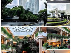 -广州白天鹅宾馆