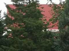 -中国政法大学(昌平校区)