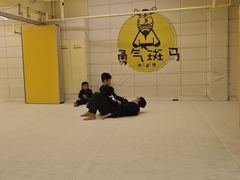 -勇气斑马·巴西柔术&跆拳道(浦东三林店)
