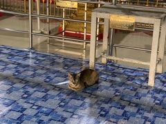 -ခြောက်ထပ်ကြီးရွှေသာလျောင်းဘုရားကြီး