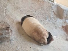 -宁波野生动物园