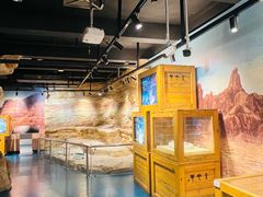 -国家自然博物馆