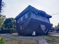 -金山农民画村-枫泾波兰倒置屋