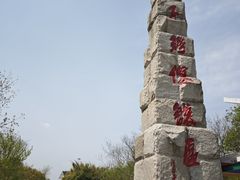 -中国扬子鳄村