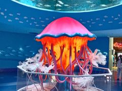 -南昌融创海世界