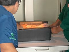-瑞派长江宠物医院·猫科·外科·24小时夜护(谊城公寓分院)