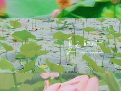 -南海子公园
