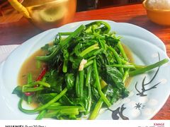 -塔洛藏餐吧(香格里拉古城店)