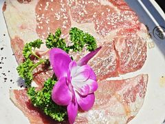-外婆掌柜·东北家庭烤肉(托乐嘉店)