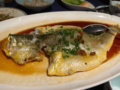 -维园悦谱·海派家常菜(乌鲁木齐南路店)