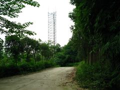 -三圣花乡旅游区