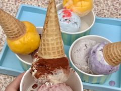 -苏小糖(鼓浪屿三丘田花园店)