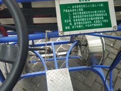 -上海海湾国家森林公园